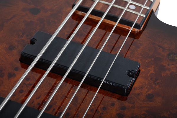Бас-гитара SCHECTER [C-5 STANDARD TB] бас-гитара 5-струнная, корпус: красное дерево, топ из капа, гриф: печеный клен, накладка: палисандр, 24 лада, цвет Tobacco Burl (TB)