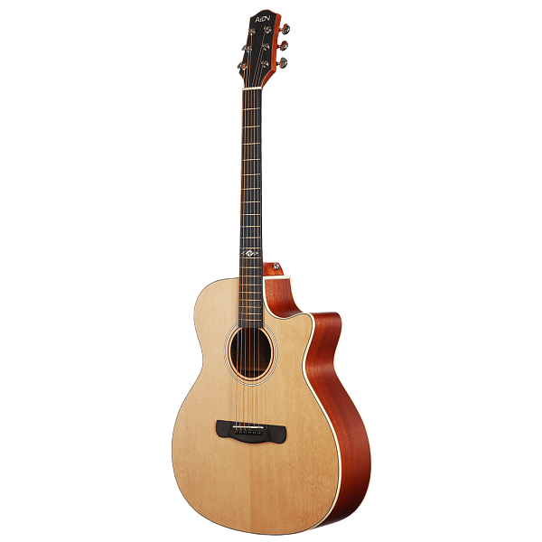 Aion X10M - Акустическая гитара