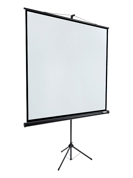 [LEV-100108] Экран на штативе Lumien [Eco View] 203x203см (раб.область 195х195 см) (109") Matte White 1:1