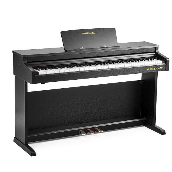 MUZPLANET YDP-145B - Цифровое пианино