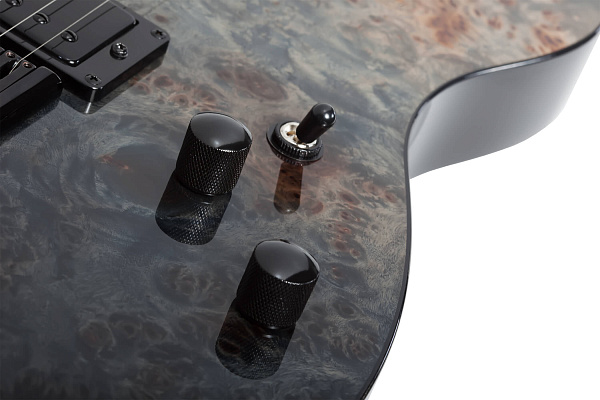 Электрогитара SCHECTER [PT STANDARD BFBB] электрогитара 6-струнная, корпус: красное дерево, топ из капа, гриф: печеный клен, накладка: палисандр, 22 лада, цвет Black Fade Burst Burl (BFBB)