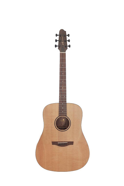 Covenant 170D гитара акустическая с чехлом