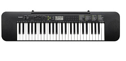 CASIO CTK-240 - Синтезатор