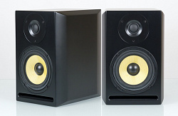 Axelvox TRP-5A Студийный аудио монитор (двухполосный)