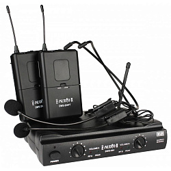 PROAUDIO DWS-204PT - Радиосистема c двумя головными микрофонами