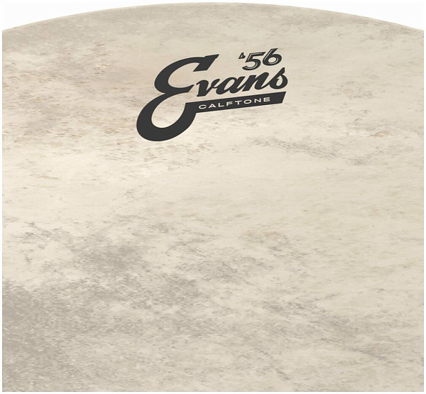 EVANS BD22GB4CT - Пластик 22"