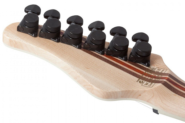 Электрогитара SCHECTER [PT SLS ELITE BLOODBURST BB] электрогитара 6-струнная, корпус: болотный ясень, топ: огненный клен, гриф: клён/орех/падук, накладка: черное дерево, 24 лада, цвет: Blood burst (BB)