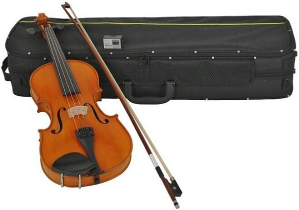 GEWA Aspirante Venezia 4/4 GS401.531 скрипка в комплекте