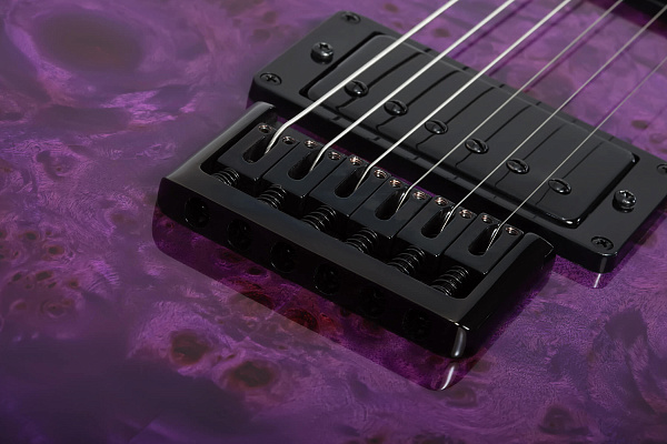 Электрогитара SCHECTER [PT STANDARD PBB] электрогитара 6-струнная, корпус: красное дерево, топ из капа, гриф: печеный клен, накладка: палисандр, 22 лада, цвет Purple Burst Burl (PBB)